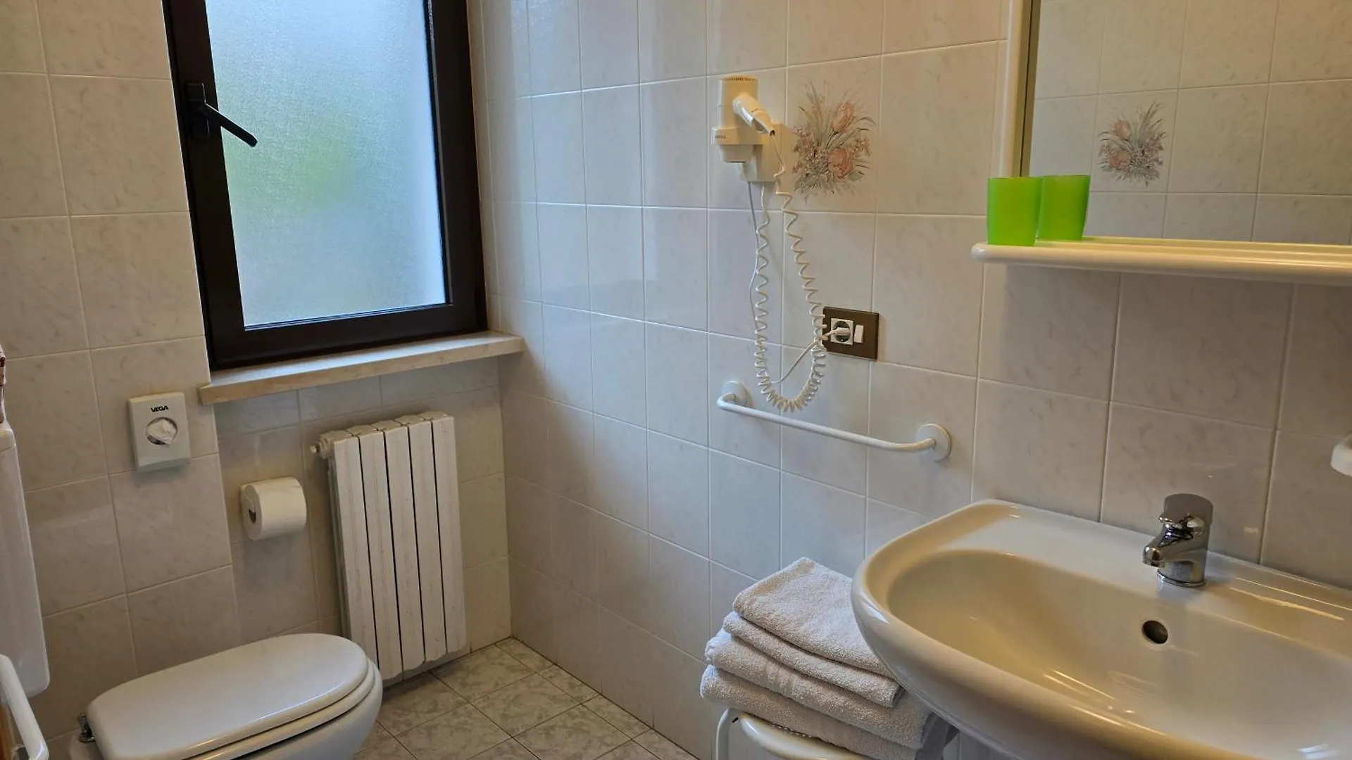 Hotel Pace Brenzone sul Garda 5*,
